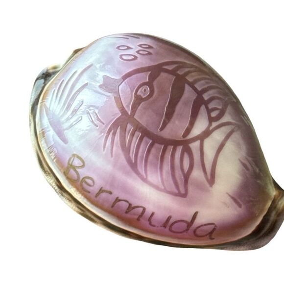 Decorative Pink Fish Shell - Picture 1 of 6